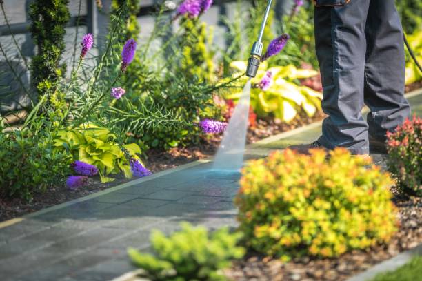 Best Driveway Pressure Washing  in Presidential Lakes Estates, NJ