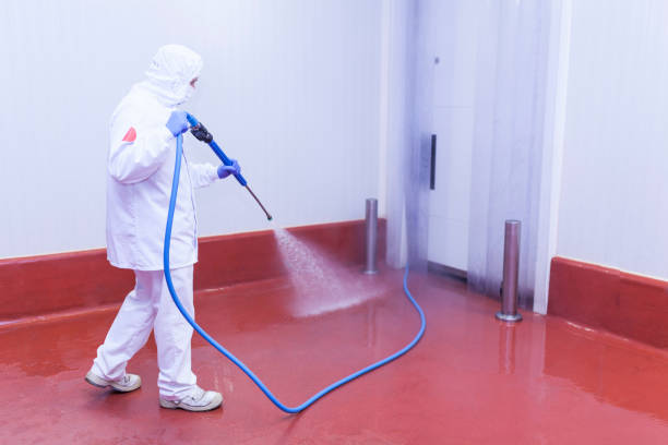 Best Spring Cleaning  in Presidential Lakes Estates, NJ